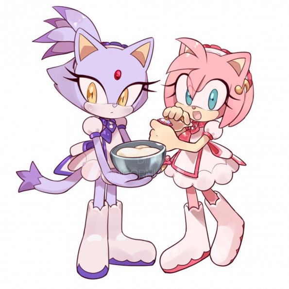 maho_Blaze_et_Amy_Rose_Sweet_House_MAHDou_F9SU