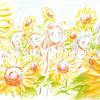 maho_Hana_Momoko_Hazuki_Doremi_Aiko__Onpu_champ_de_tournesols_OD16_Yoshihiko_Umakoshi_DQAW